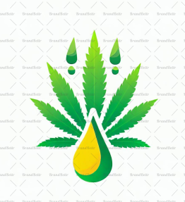 CBD Öl